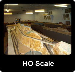 ho_scale